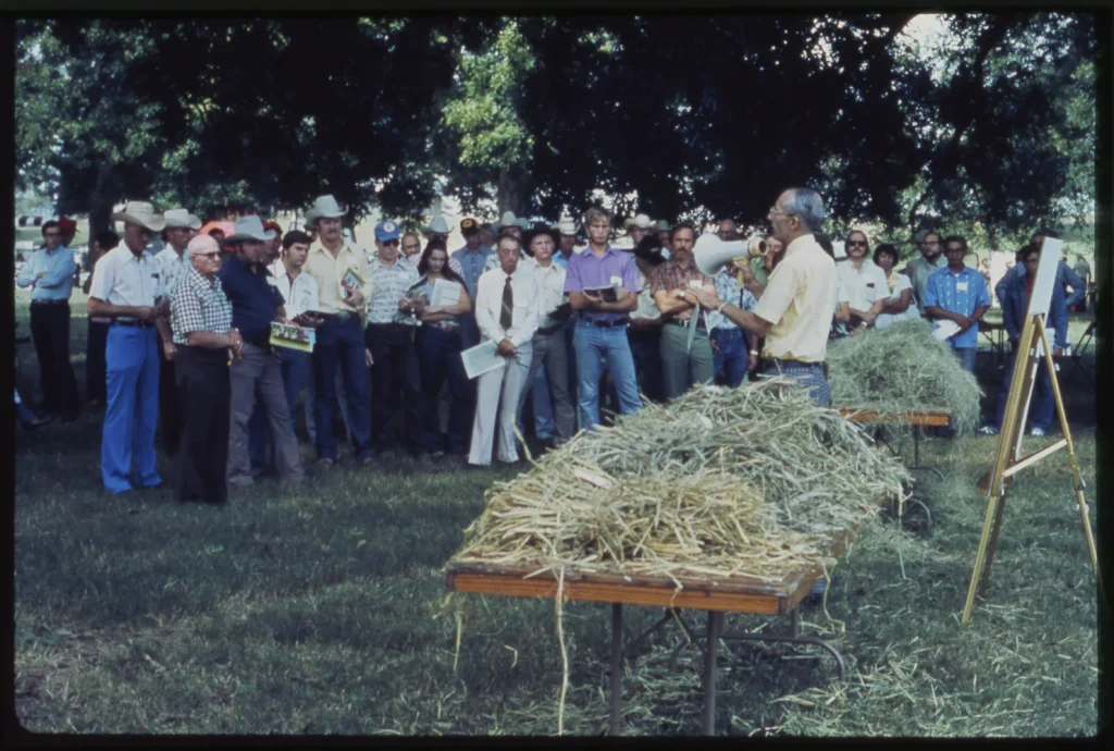 Hay demonstration and show, c. 1970s -Courtesy of the Texas A&M AgriLife Extension Service