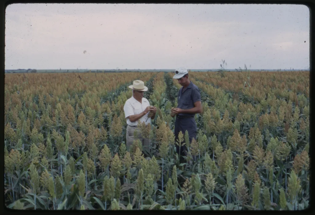 Travis County farmers, 1963. -Courtesy of the Texas A&M AgriLife Extension Service