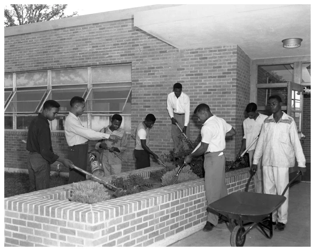Anderson High School students cultivate a garden, 1955. -Photo No. ND-55-1753-26A, Austin History Center, Austin Public Library