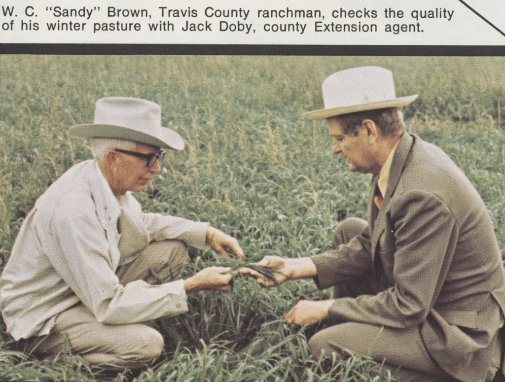 Travis County rancher W.C. Brown checks the quality of his winter pasture with Jack Doby, Travis County Extension agent. -Texas Agricultural Extension Service Annual Report, 1974