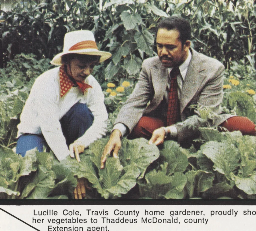 A Travis County home gardener shows her vegetables to Thaddeus McDonald, Travis County Extension agent. -Texas Agricultural Extension Service Annual Report, 1974