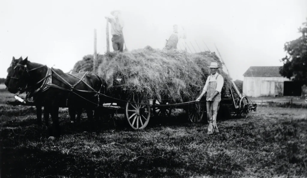 Haymaking, 1928. -Photo No. PICA 12176, Austin History Center, Austin Public Library