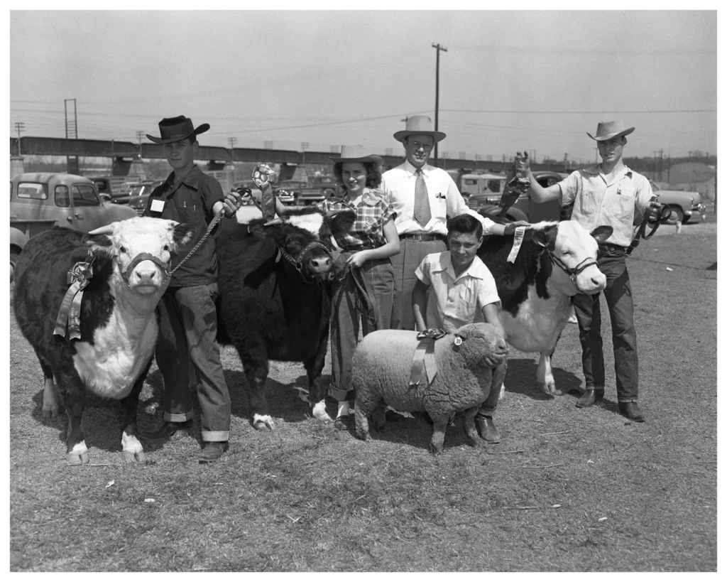 Travis County Stock Show, 1951. -Photo No. ND-51-258-01A ,Austin History Center, Austin Public Library