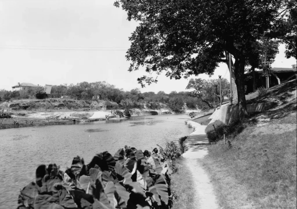 Barton Springs Pool, 1925. -Photo No.C01787, Austin History Center, Austin Public Library