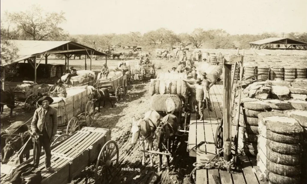 Cotton gin located on the west side of Chicon Street, undated. -Photo No. C00365, Austin History Center, Austin Public Library