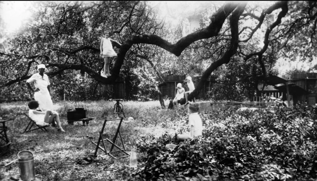 Treaty Oak, 1925. -Photo No. PICA 23684, Austin History Center, Austin Public Library